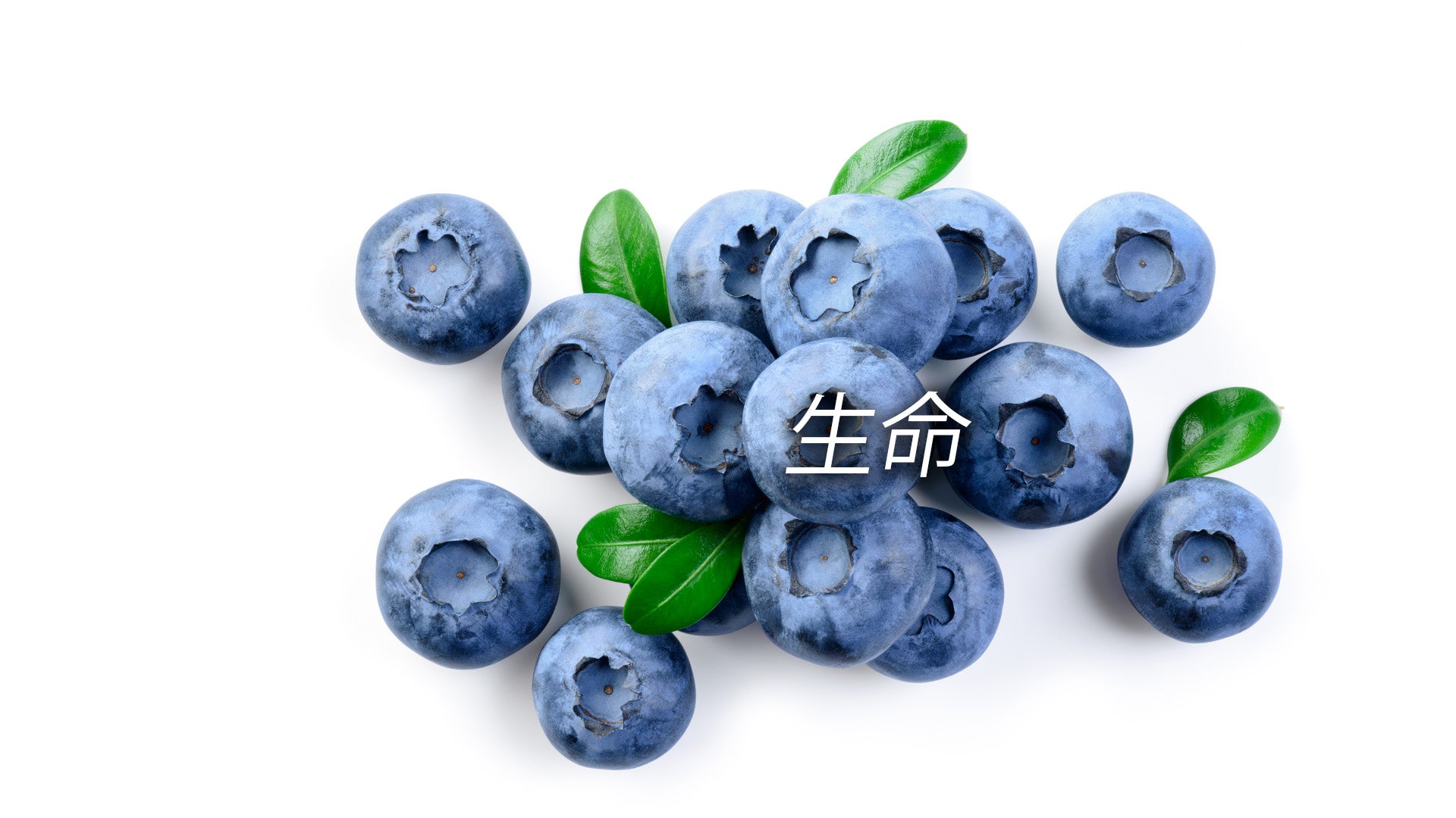 蓝莓上有绿色叶子和“生命”这个词