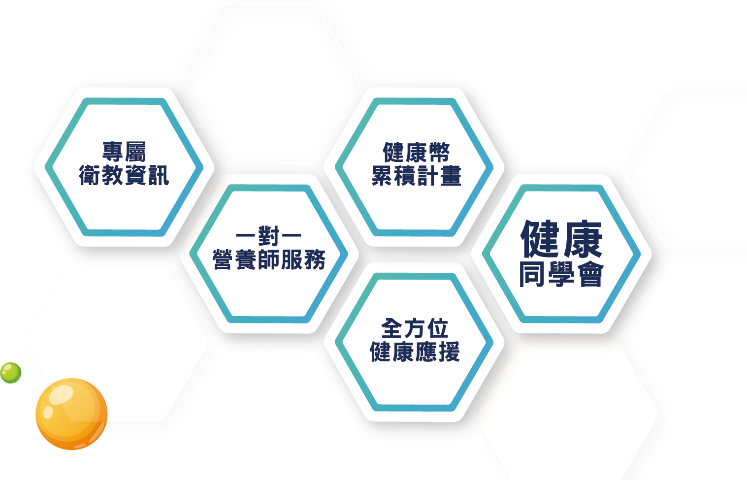 健康服务与信息的六边形图示